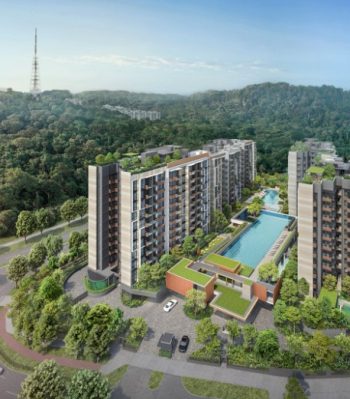 the-sen-aerial-view-bukit-timah-hill-singapore the-sen-aerial-view-bukit-timah-hill-singapore